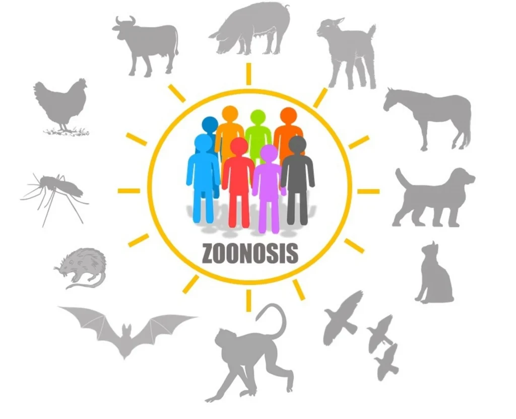Zoonosis, ecotox, servicio de fumigación y desinfección